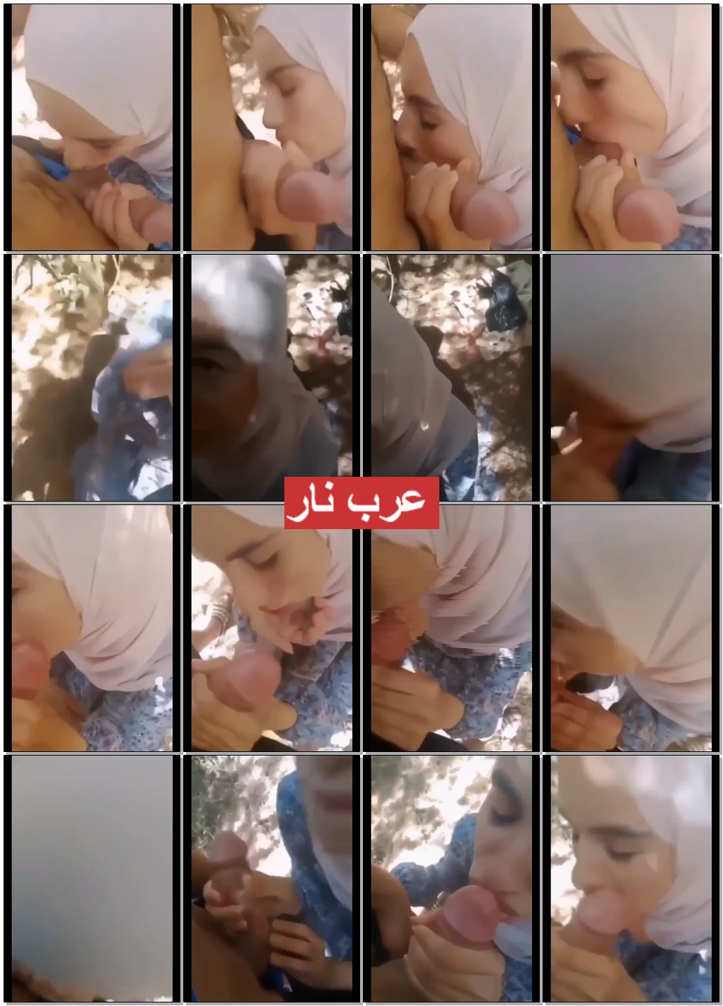 بنت ***** نازلة على ركبتيها ترضع لحبيبها زبره و تشرب لبنه (1).jpg